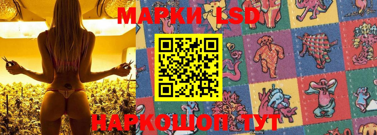 Зерноград  Марки N-bome 1500мкг  Марки N-bome 1500мкг  Вход с VPN 