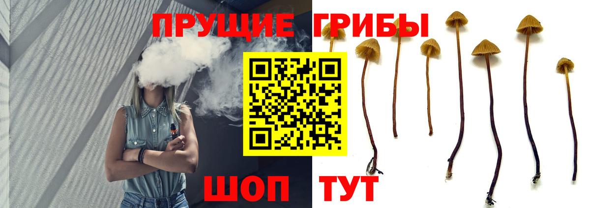 Псилоцибиновые грибы мицелий  Вход с VPN  Зерноград 
